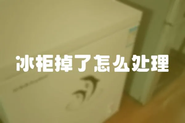 冰柜掉了怎么處理