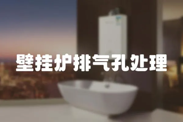 壁掛爐排氣孔處理