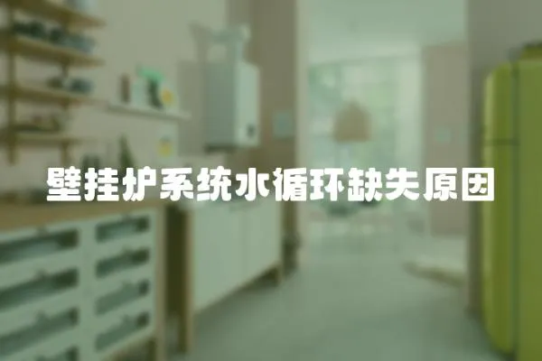 壁掛爐系統(tǒng)水循環(huán)缺失原因