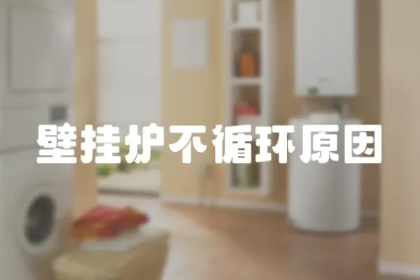 壁掛爐不循環原因