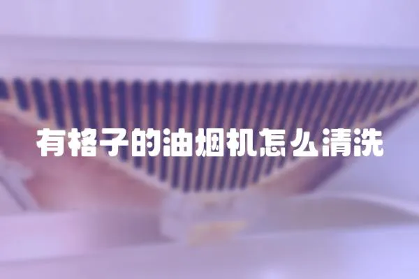 有格子的油烟机怎么清洗