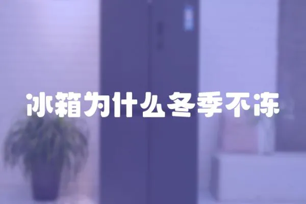 冰箱為什么冬季不凍