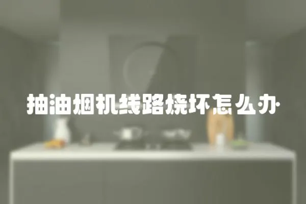 抽油煙機線路燒壞怎么辦