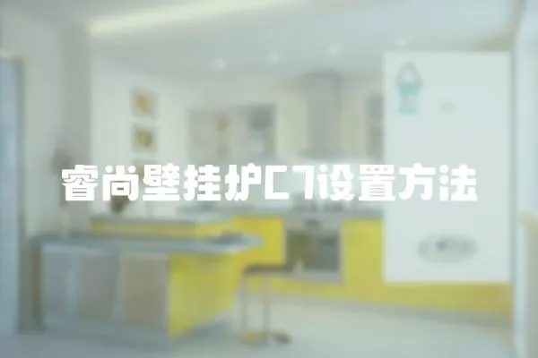 睿尚壁掛爐C7設置方法