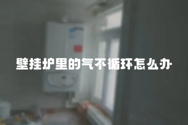 壁掛爐里的氣不循環怎么辦