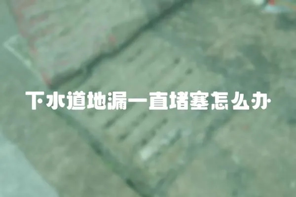 下水道地漏一直堵塞怎么辦
