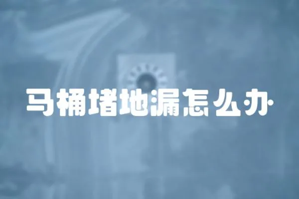 馬桶堵地漏怎么辦