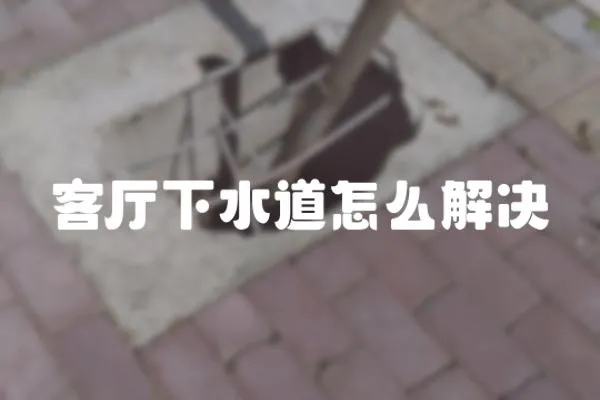 客廳下水道怎么解決