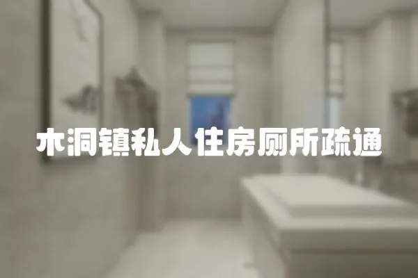 木洞鎮私人住房廁所疏通