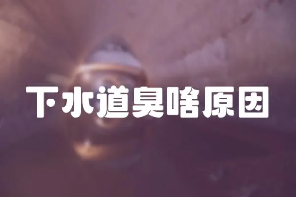下水道臭啥原因