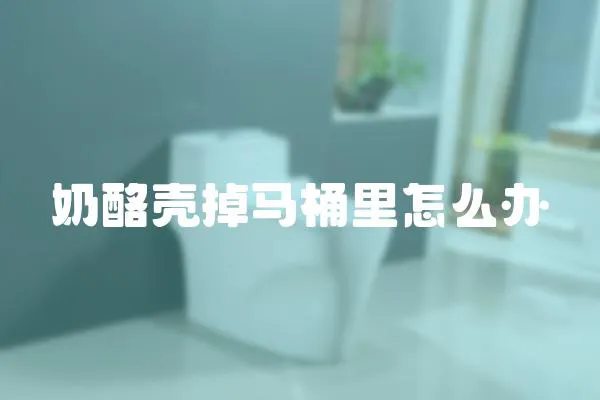 奶酪殼掉馬桶里怎么辦
