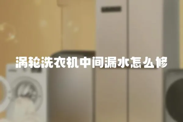 渦輪洗衣機中間漏水怎么修
