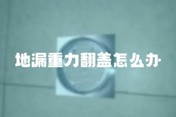 地漏重力翻蓋怎么辦