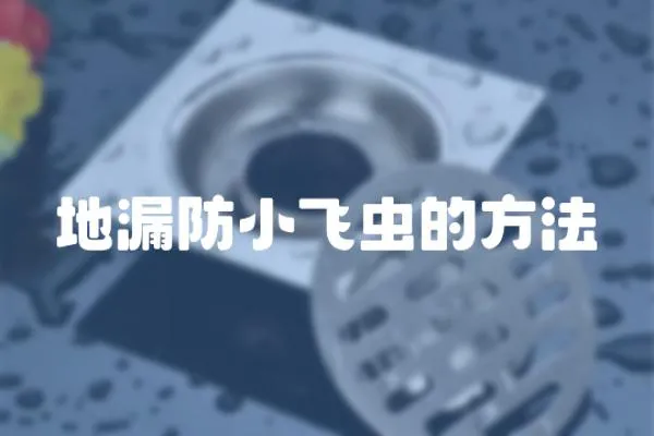 地漏防小飛蟲的方法