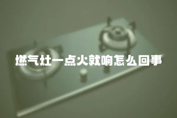 燃氣灶一點火就響怎么回事