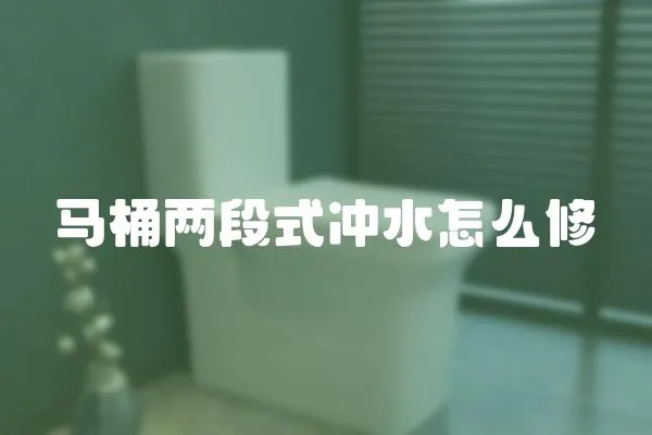 馬桶兩段式沖水怎么修
