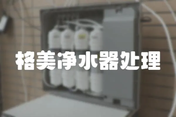 格美凈水器處理