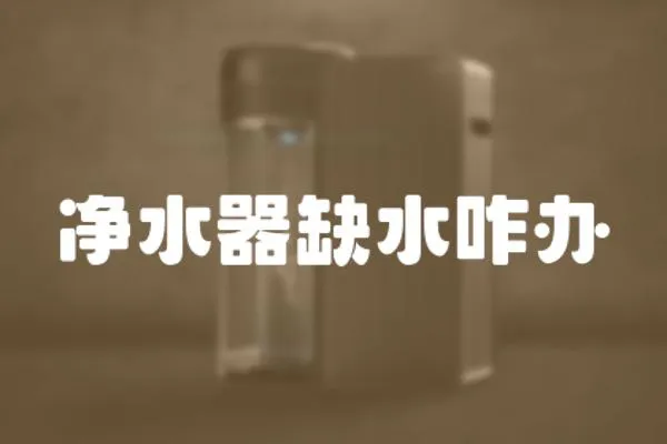 凈水器缺水咋辦