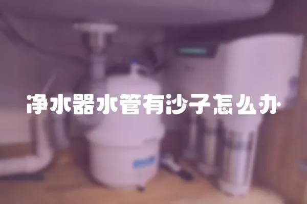 凈水器水管有沙子怎么辦