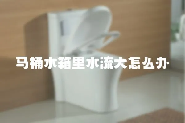 馬桶水箱里水流大怎么辦