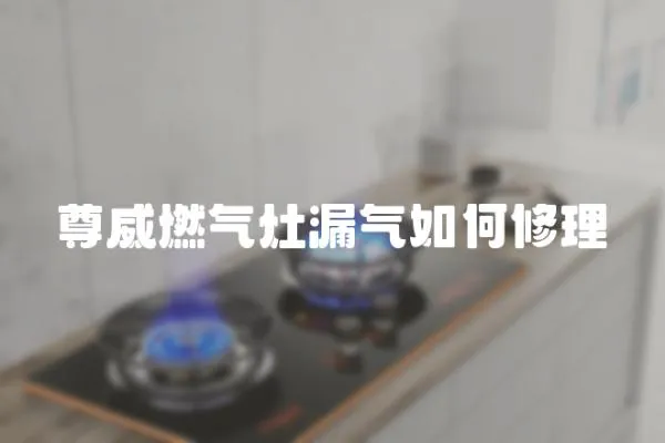尊威燃氣灶漏氣如何修理