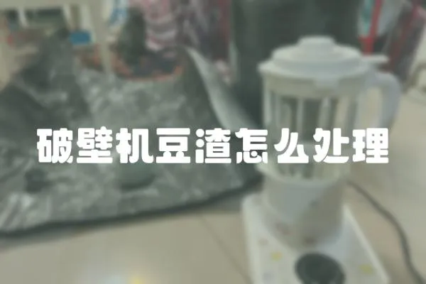 破壁機豆渣怎么處理