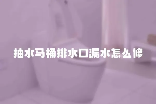 抽水馬桶排水口漏水怎么修