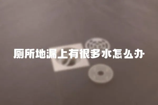 廁所地漏上有很多水怎么辦
