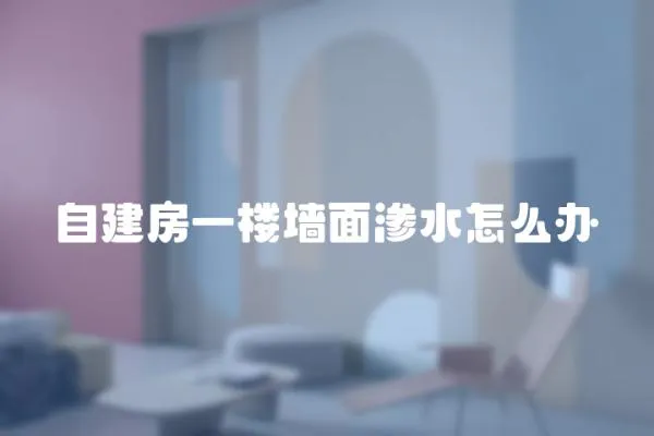 自建房一樓墻面滲水怎么辦