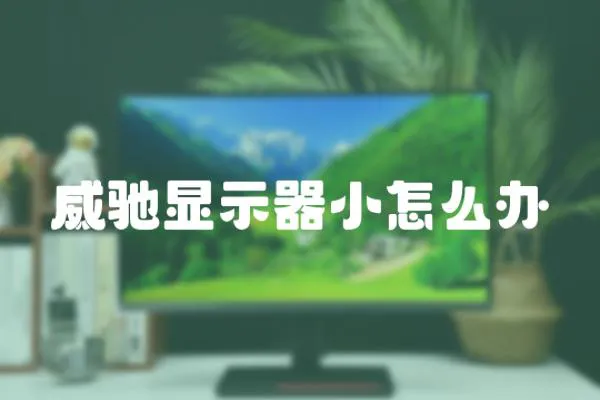 威馳顯示器小怎么辦