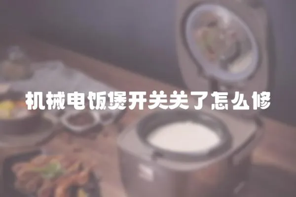 機(jī)械電飯煲開關(guān)關(guān)了怎么修