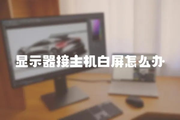 顯示器接主機(jī)白屏怎么辦