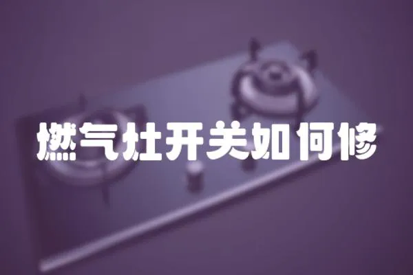 燃?xì)庠铋_關(guān)如何修