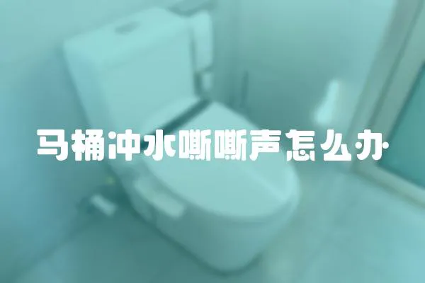 馬桶沖水嘶嘶聲怎么辦