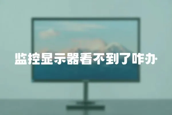 監控顯示器看不到了咋辦