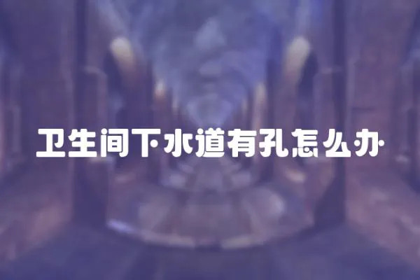 衛生間下水道有孔怎么辦