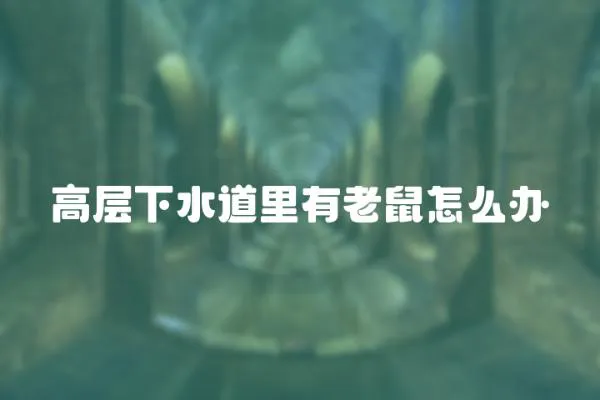 高層下水道里有老鼠怎么辦