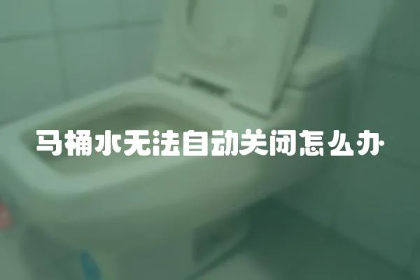 馬桶水無法自動關閉怎么辦