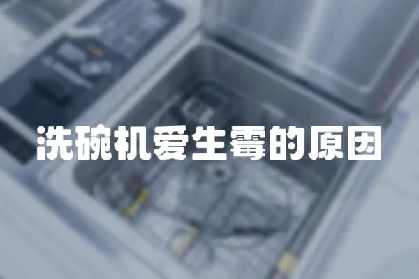 洗碗機(jī)愛生霉的原因