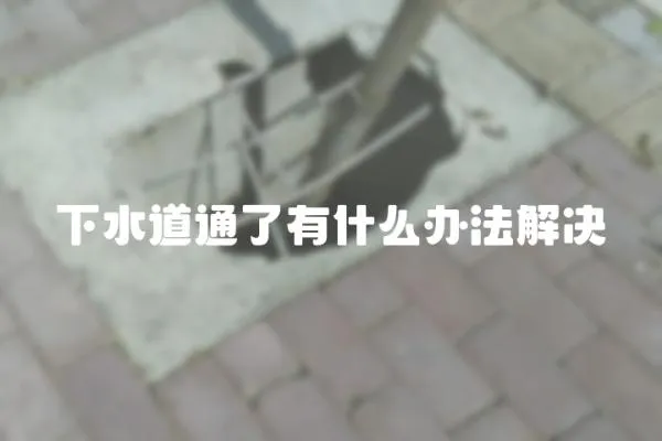 下水道通了有什么辦法解決