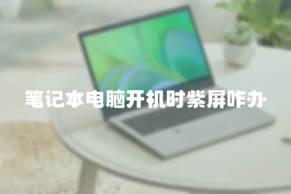 筆記本電腦開機時紫屏咋辦