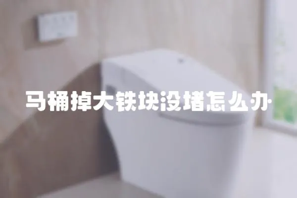 馬桶掉大鐵塊沒堵怎么辦