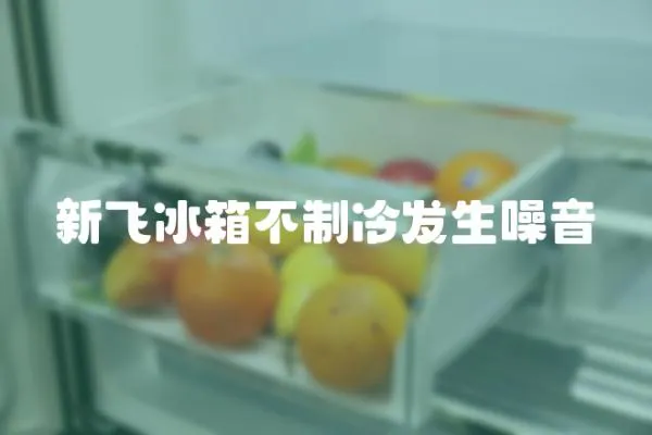 新飛冰箱不制冷發生噪音