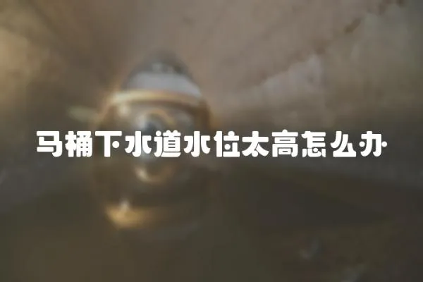 馬桶下水道水位太高怎么辦