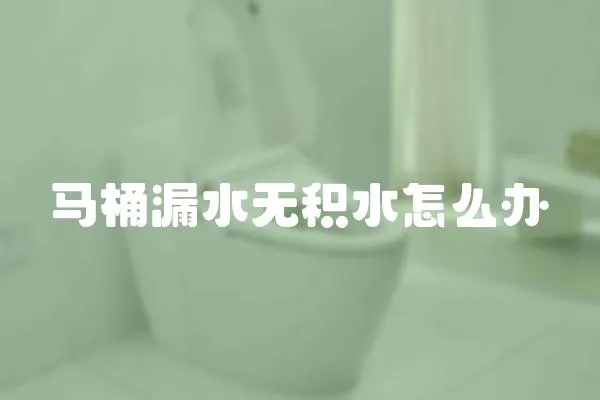 馬桶漏水無積水怎么辦