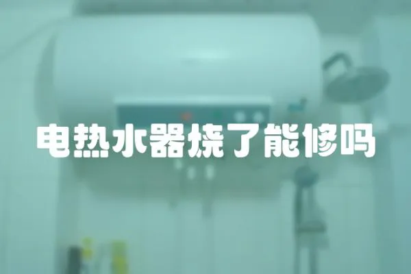 電熱水器燒了能修嗎