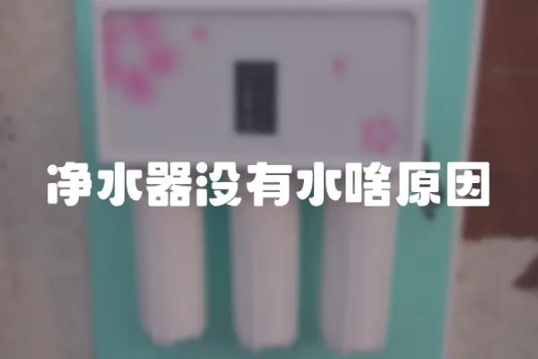 凈水器沒有水啥原因