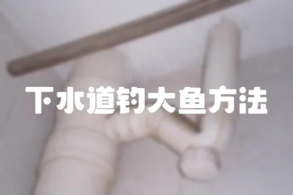 下水道釣大魚方法