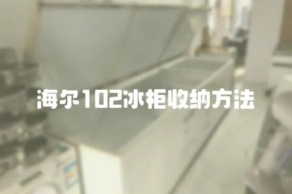 海爾102冰柜收納方法