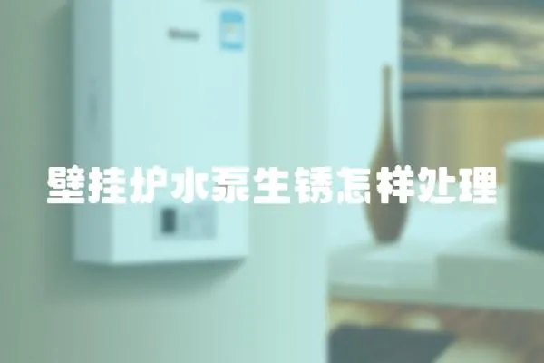 壁掛爐水泵生銹怎樣處理